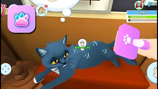 Cat Simulator: Virtual Pets 3D - Gameplay Walkthrough