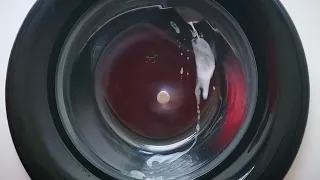 Washing machine in all its glory