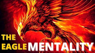 7 Powerful Life Lessons From the Eagle || Powerful Motivational Video