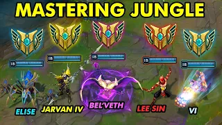 What MASTERING EVERY Jungler Looks Like...