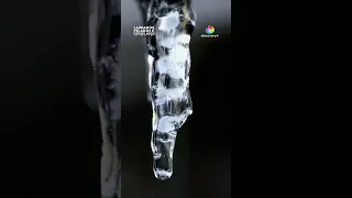 LARGADOS, PELADOS E CONGELADOS