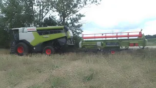 Getreide Ernte 2023 / Claas Lexion 5400