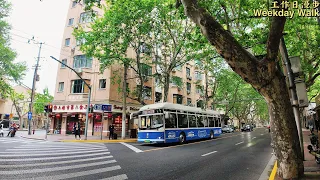 Walking in Center Shanghai's Sycamore Area on a Cloudy Weekday,in Late Spring[4K]