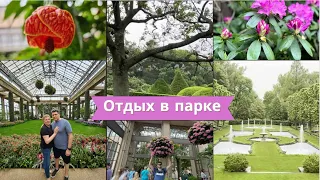 Таинственные #longwoodgardensgarden: Наш Ответ на Усталость от Ремонта в #newyork