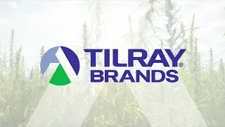 Tilray Brands Q2 2023 Results