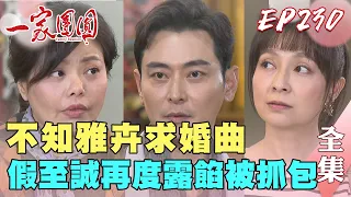 一家團圓 EP230 忘了和雅卉的求婚曲 假至誠要怎麽圓過去？木林氣到離家出走 雅淳委屈要離婚｜Family Reunion｜完整版｜【健康3D紅麴+鉻 雙效錠】