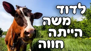 לדוד משה היתה חווה 🐮 שירי ילדים 👶 שירי משחק והפעלה