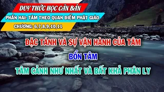 BỔN TÂM – Đặc Tính và Sự Vận Hành của TÂM | Duy Thức Học Căn Bản – Chương 6-11