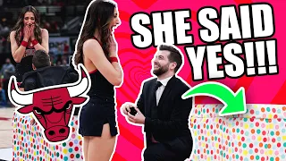 SURPRISE NBA DANCER PROPOSAL DURING HALFTIME OF CHICAGO BULLS GAME | LUVABULLS