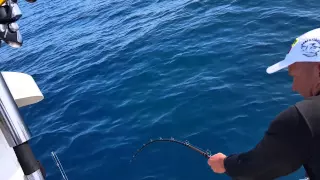 fishing Montenegro shimano tyrnos 50 bluefi tuna 60kg 10min fight