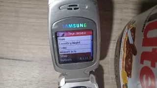 Samsung SGH-E600 Мелодии, звуки SMS /Melodies, sounds SMS