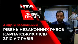 Андрій Заблоцький розповів, як відомство бореться із незаконними рубками лісів