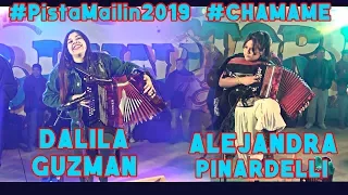 DALILA GUZMAN Y ALEJANDRA PINARDELLI - MAILIN 2019