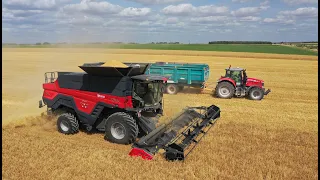 MASSEY FERGUSON IDEAL 7 RED par ROCHA Agri démo 2023