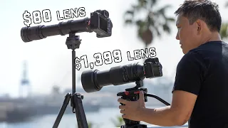 $80 Super Telephoto Lens vs $1,399 Tamron 150-500mm