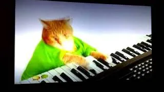 Keyboard Cat - Wonderful Pistachio Commercial