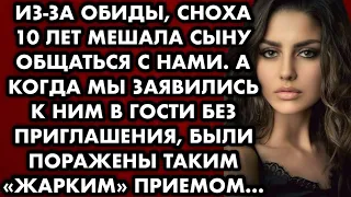 Из-за обиды, сноха десять лет мешала сыну общаться с нами. А когда мы заявились к ним в гости…