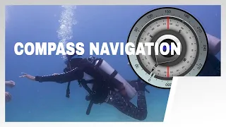 How to Conduct Compass Navigation Skill Underwater: PADI Advanced Open Water Course | Scuba Diving