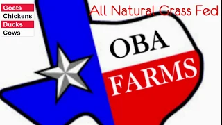 All Natural Grass Fed Goats, Beef & Lamb - Oba Farms near Dallas TX