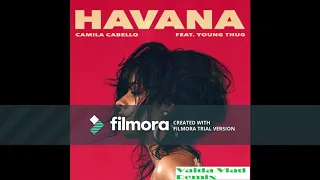 Camila Cabello - Havana ft. Young Thug(Vaida Vlad Remix Mashup)