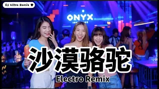 冯提莫 - 沙漠骆驼 DJ版《高清音质》【2021 DJ Ultra Electro Remix 热门抖音版】|| Lạc đà sa mạc【Hot TikTok Remix 2021】