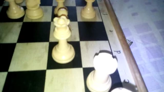 Мультик про шахматы