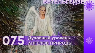 №75 Духовный уровень АНГЕЛОВ ПРИРОДЫ