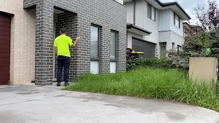 She had no idea this video would be soooo satisfying! Tiny Lawn Tuesdays Free Lawn Clean Up!