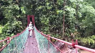 Danum Valley, Borneo, Malaysia - Morning jungle hike part 01 2018 Dec. 24