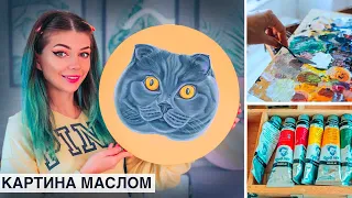 Рисую Котика Маслом - Картина Маслом Шотландская Кошка  | Как нарисовать Кошку масляными красками