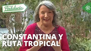 Destino Andalucía | Ruta en Constantina y Costa Tropical de Granada