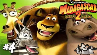 Madagascar 2: Escape to Africa #4 - Fotografias e outros minigames | The Watering Hole