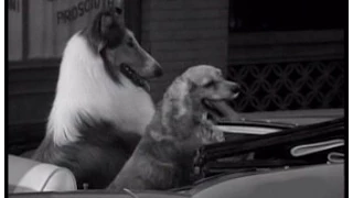 Lassie - Episode #267 - "The Dognappers" - Season 8 Ep. 12 - 12/03/1961