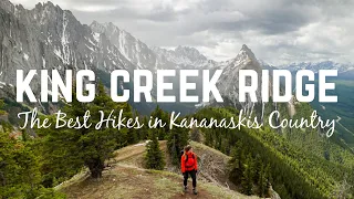 King Creek Ridge: One of The Best Hikes in Kananaskis Country!