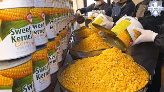 Amazing Seasoned Corn Fries, Cheese Coin Bread - Korean Street Food