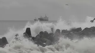 Лучший город Земли. ДЕНЬ РЫБАКА.