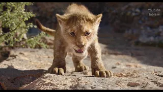 [The Lion King 2019] Circle of Life (Music video) (From "The Lion King")