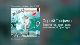 Сергей Трофимов - Босота или один день мишаниной бригады - Аристократия помойки. Часть 3 /1998/