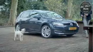 Dog imitates car, a Volkswagen car