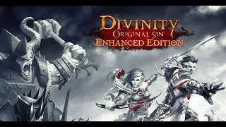 Divinity: Original Sin Enhanced Edition часть 11