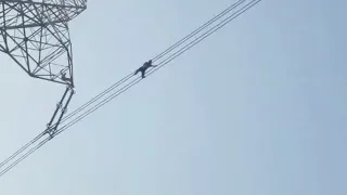 Terrifying moment man risks life walking on high-tension wire in north India