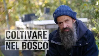THE MAN WHO FARMS IN THE FOREST. The Scoscesa by Lorenzo Costa