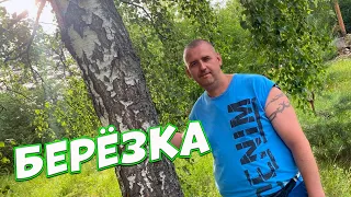 Всем, кто рос в деревне посвящается! БЕРЁЗКА Сергей Одинцов Новинка 2022