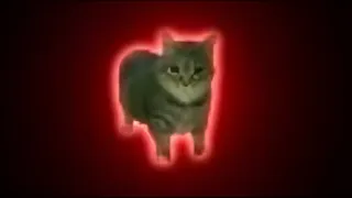 ⚡Oiiaioooooiai, But Psytrance Style⚡Spinning Cat Meme 🎵