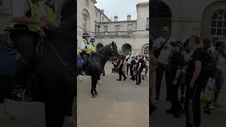 Tourist stroke police horses #horseguardsparade