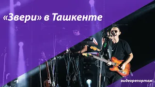 Узбекистан: Концерт группы «Звери» в Ташкенте
