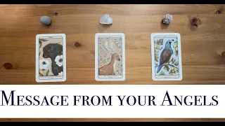 ✨😇Message from Your Angels 👼 Pick a Card - Tarot Reading