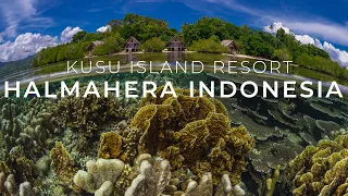 Snorkeling in Halmahera with Kusu Island Resort