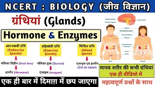 मानव ग्रंथियां | Glands | अंतःस्रावी ग्रंथियां | endocrine system | Hormones & Enzymes | Study vines