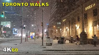 Toronto's First Snowfall of the Season Walk on November 1, 2020